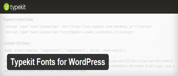 How to Add Custom Fonts to WordPress Website? 4 Typekit for WordPress