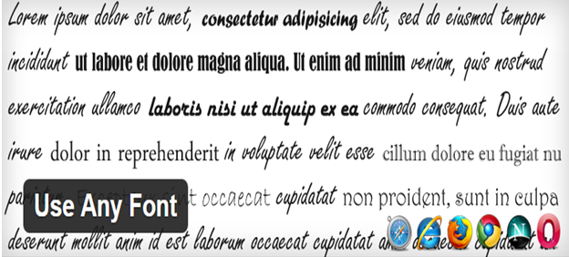 How to Add Custom Fonts to WordPress Website? 2 Use any font