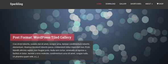 Quick Look on WordPress themes for effective Content Marketing 3 WordPress Theme Sparkling