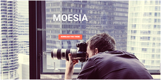 30+ Best Free WordPress Themes For Your Business (2026 Updated) 29 moesia