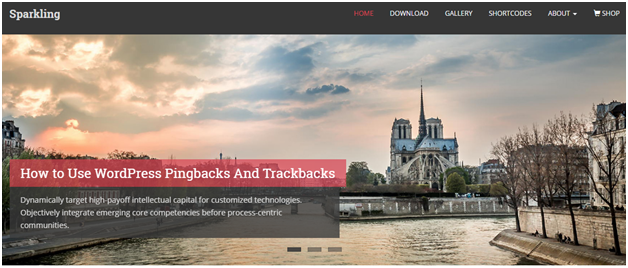 30+ Best Free WordPress Themes For Your Business (2026 Updated) 17 sparkling