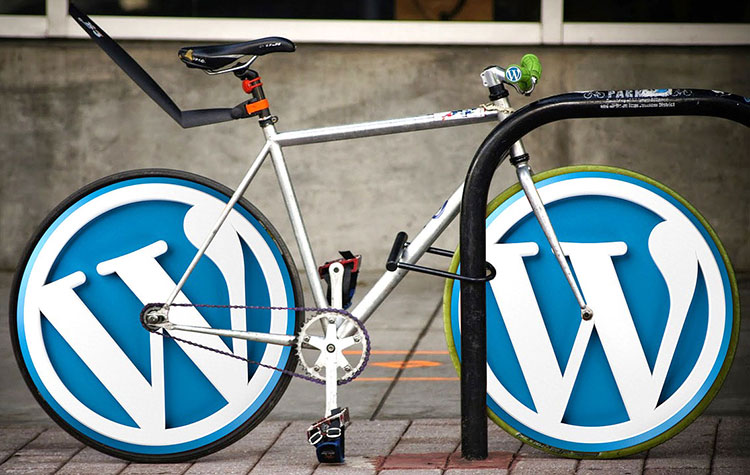 Custom WordPress Build Vs. a Premium Theme 5 Custom WordPress Development Sydney