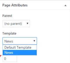 page template page template