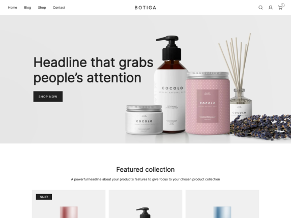 50+ Best WordPress eCommerce Themes For 2026 2 Botiga