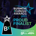 Business xcellence awards 2023