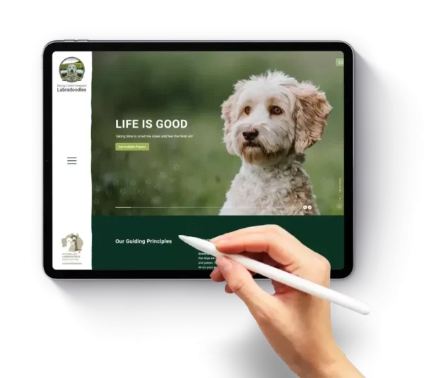 web design north sydney