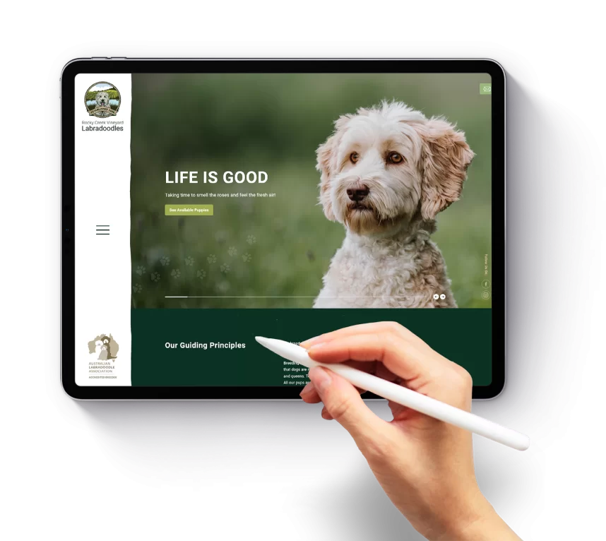 website development wollongong
